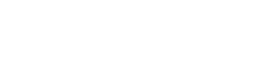 Flovio